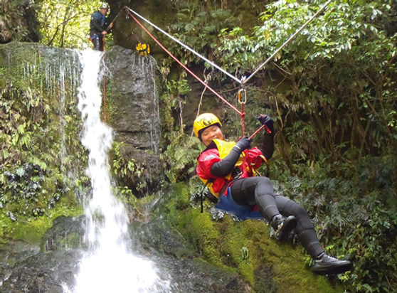 Tui_Zipline
