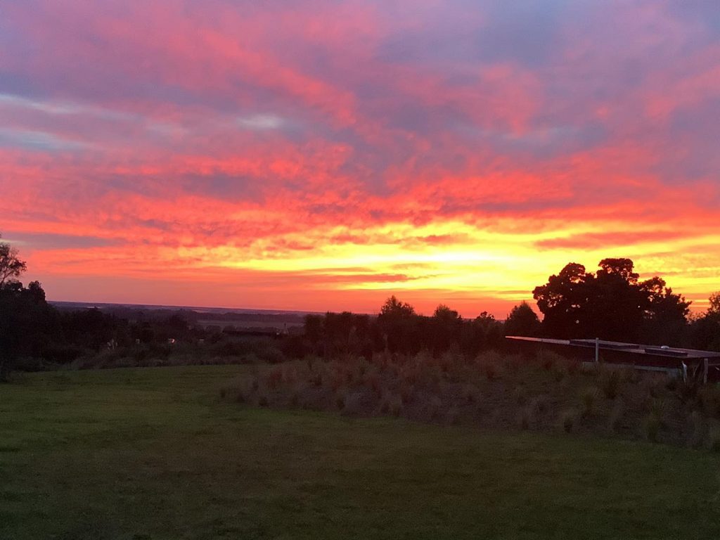 Nga Whare Manutu Geraldine