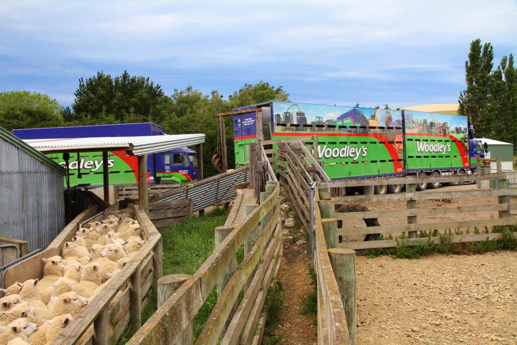 Woodley’s Geraldine