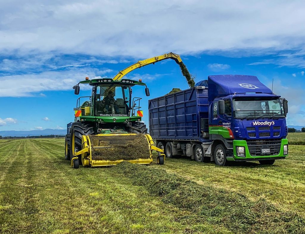 Woodley’s Geraldine