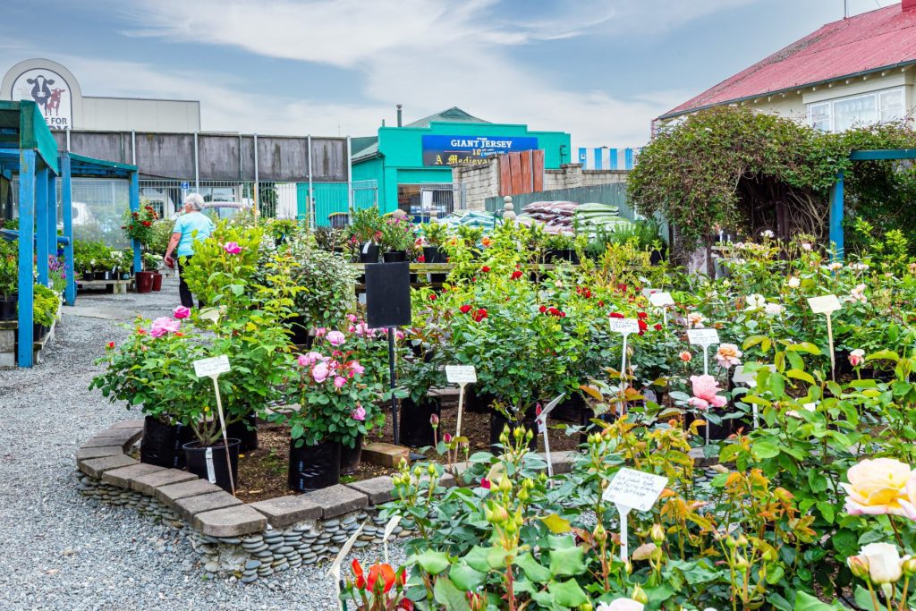 Geraldine Garden Centre