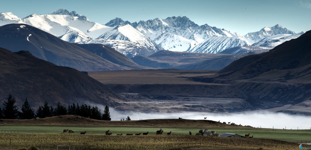 Rangitata Gorge