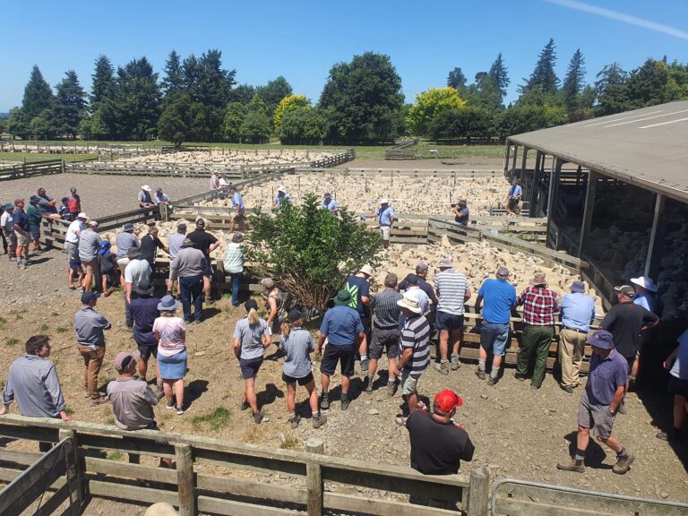 272123360_4920593104698102_5194073696595199617_n-768×576