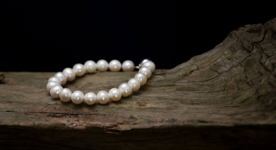 474681373_1107482231174688_3439978999783770588_n